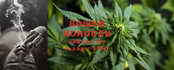 индика Баксан