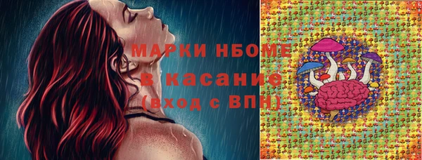 индика Баксан