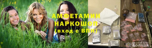 индика Баксан