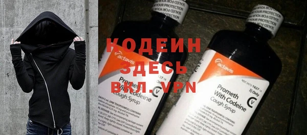 индика Баксан