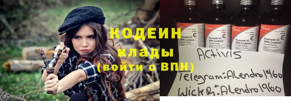 индика Баксан