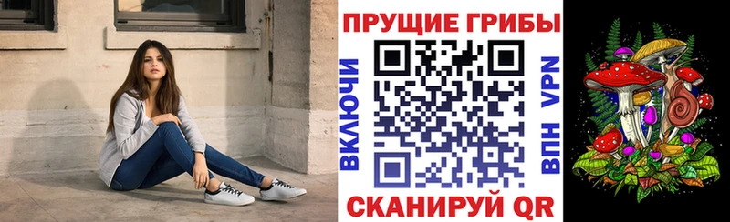 OMG вход Нерюнгри Галлюциногенные грибы мицелий